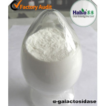 Enzyme de l&#39;industrie du sucre, Alpha galactosidase